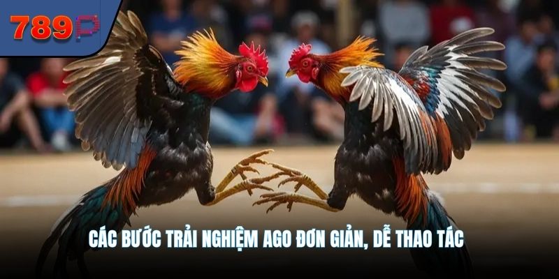 Các bước trải nghiệm AGO đơn giản, dễ thao tác